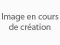 Module de gestion d'avis de clients pour PrestaShop