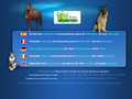 Vente en ligne de produits naturels pour animaux