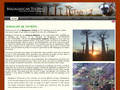 Détails : Tsingy de Bemaraha, Allée de Baobab